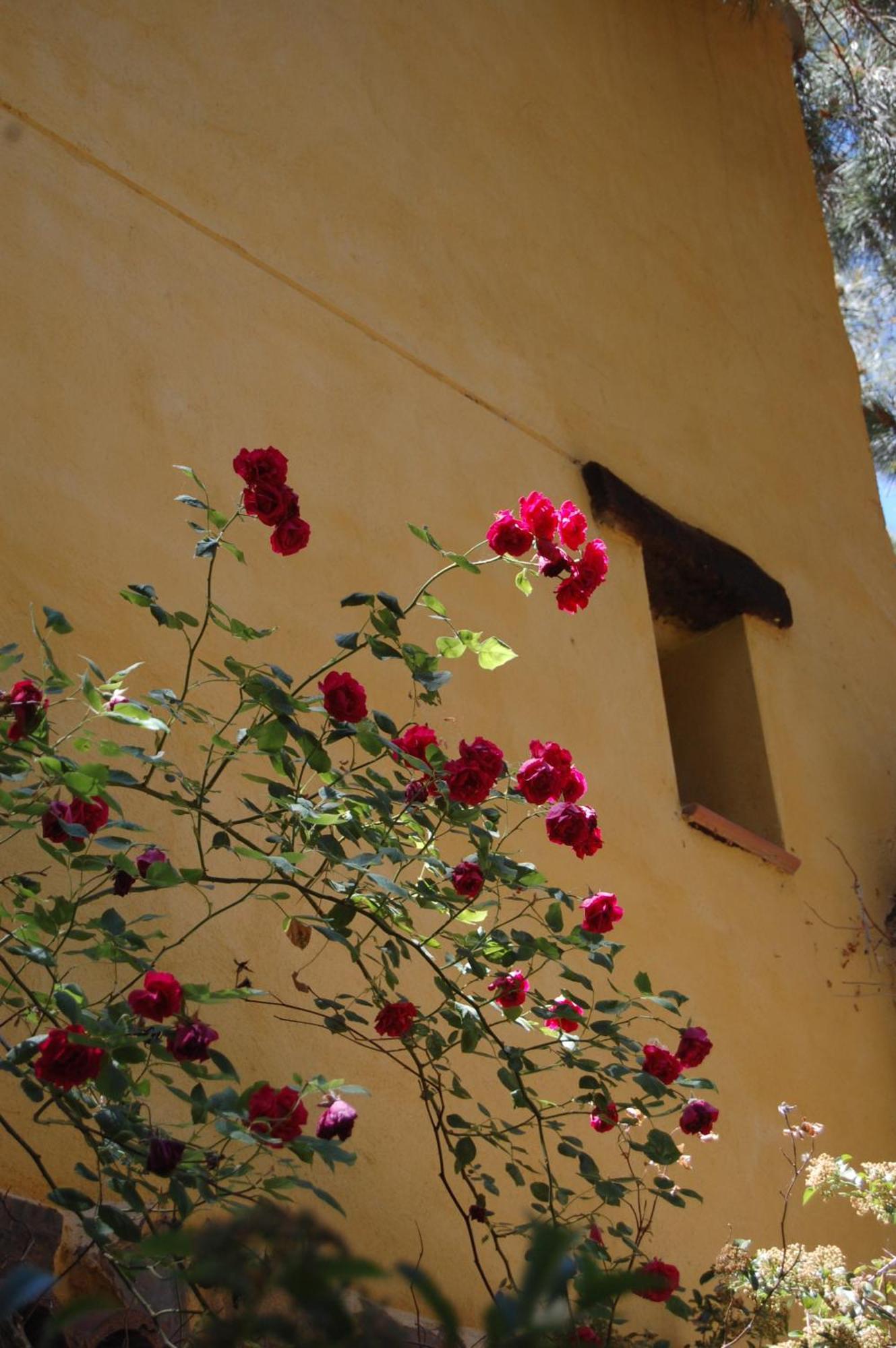 Rural Arco Iris Cuenca Hotel Cuenca  Exterior photo